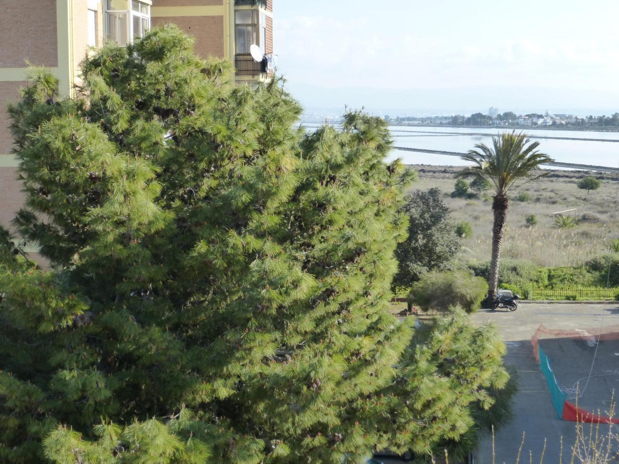 Chelu&Luna Cagliari Exterior foto